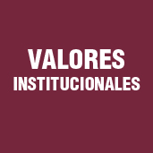 Valores Institucionales