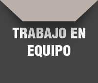 TRABAJO EN EQUIPO