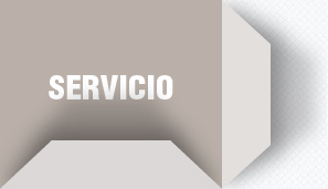 SERVICIO